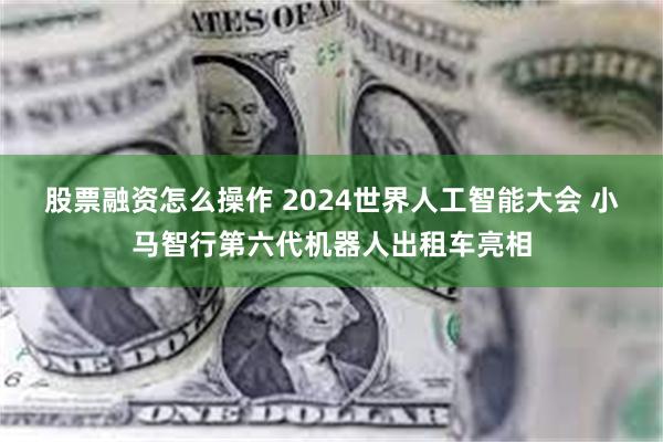 股票融资怎么操作 2024世界人工智能大会 小马智行第六代机器人出租车亮相