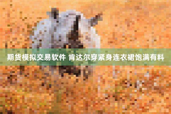 期货模拟交易软件 肯达尔穿紧身连衣裙饱满有料