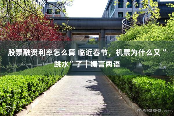 股票融资利率怎么算 临近春节，机票为什么又“跳水”了｜姗言两语