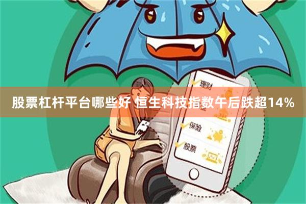 股票杠杆平台哪些好 恒生科技指数午后跌超14%